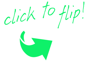 Click to flip